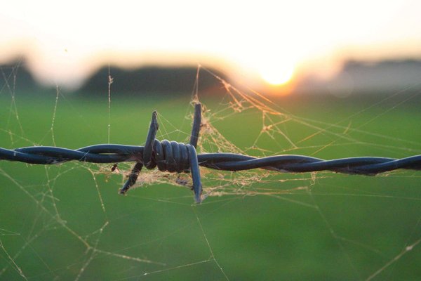 Tout ce qu'il faut savoir sur les tondeuses à barbe pour entretenir ta barbe