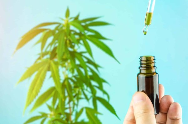 Que dit la législation sur l'utilisation thérapeutique du cannabis ?