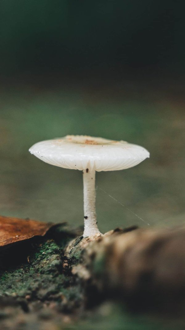 Les maladies dermatologiques : conseils pour une peau en bonne santé